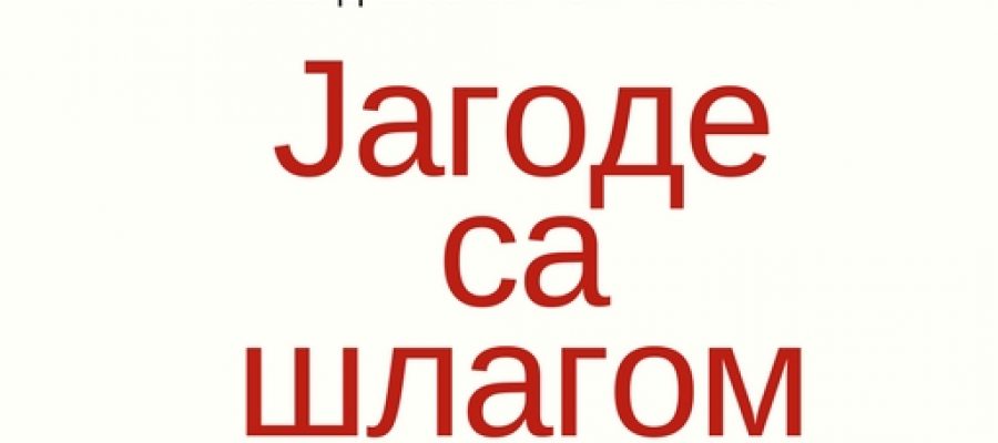 Black Text Minimal Strawberry Recipe Book Cover